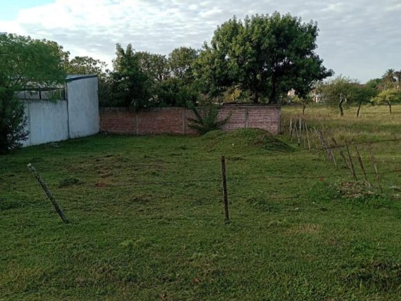 Terreno en Colón